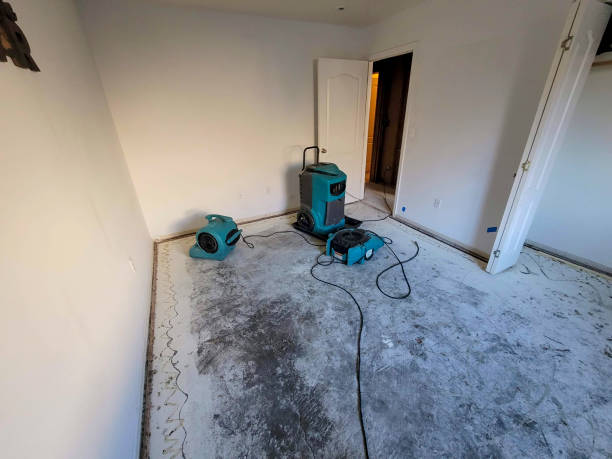 Best Water damage restoration near me  in Mission Nyon, CA