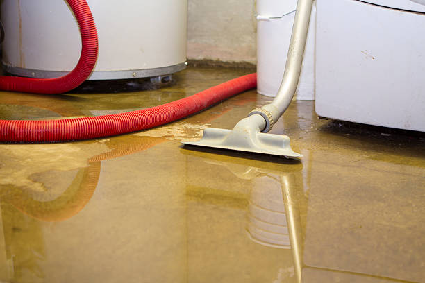 Best 24-hour water damage restoration  in Mission Nyon, CA