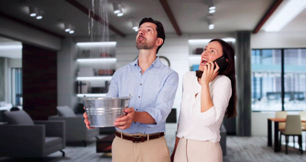 Best Flood damage cleanup  in Mission Nyon, CA