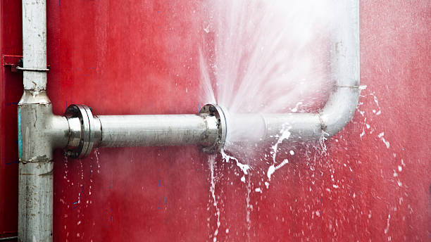 Best Water damage restoration mold remediation  in Mission Nyon, CA